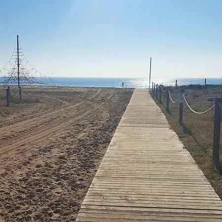 Beachside Bliss
